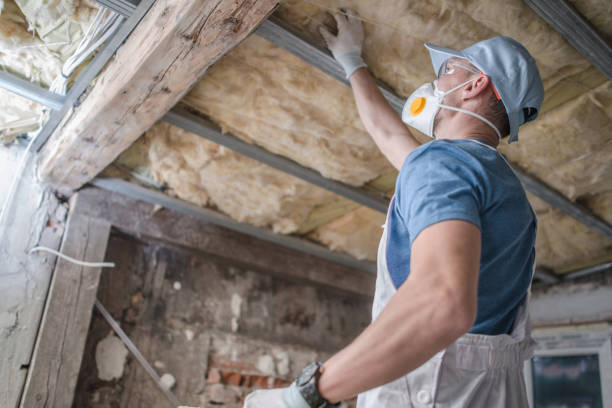 Best DIY Insulation Kits and Guidance in Silver Creek, NY