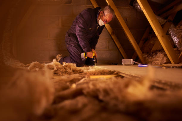 Best Geographic-Specific Insulation Services in Silver Creek, NY