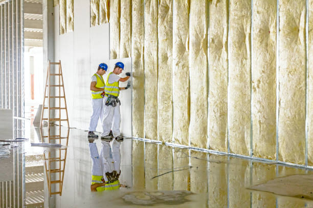Best Cellulose Insulation in Silver Creek, NY